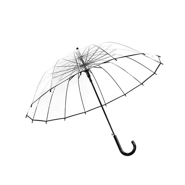 Umbrella